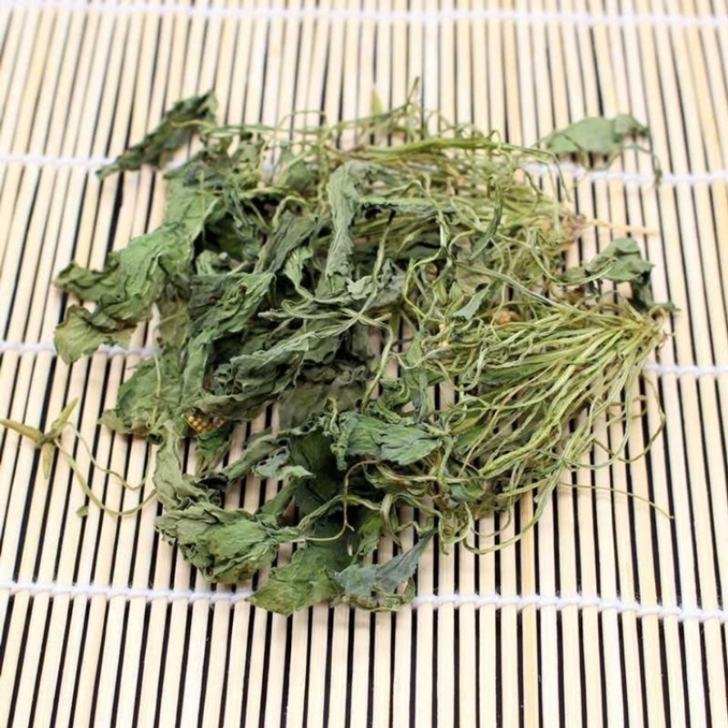 地丁草一手货源产地直销