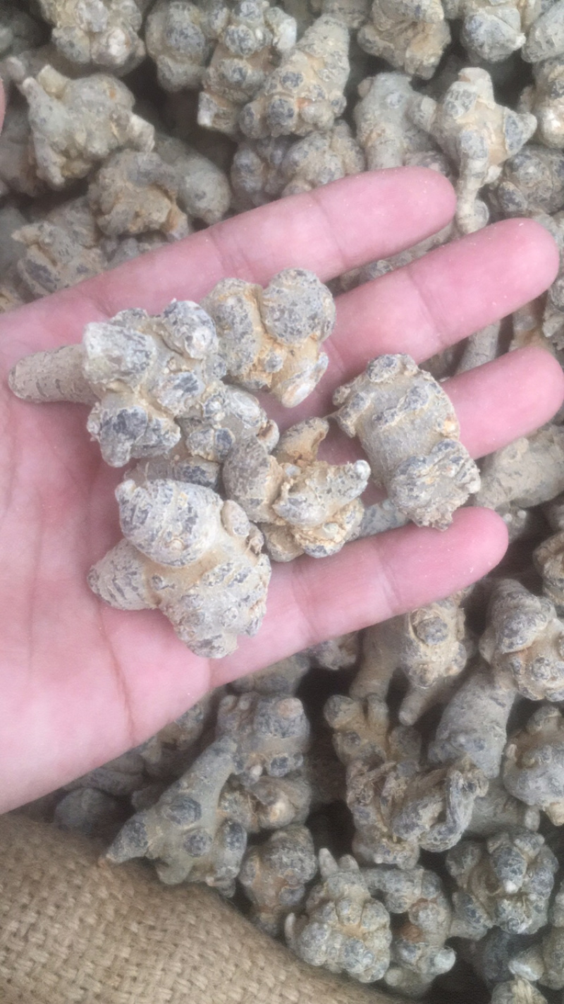 晟益三七文山三七60头80头水洗足干高档三七
