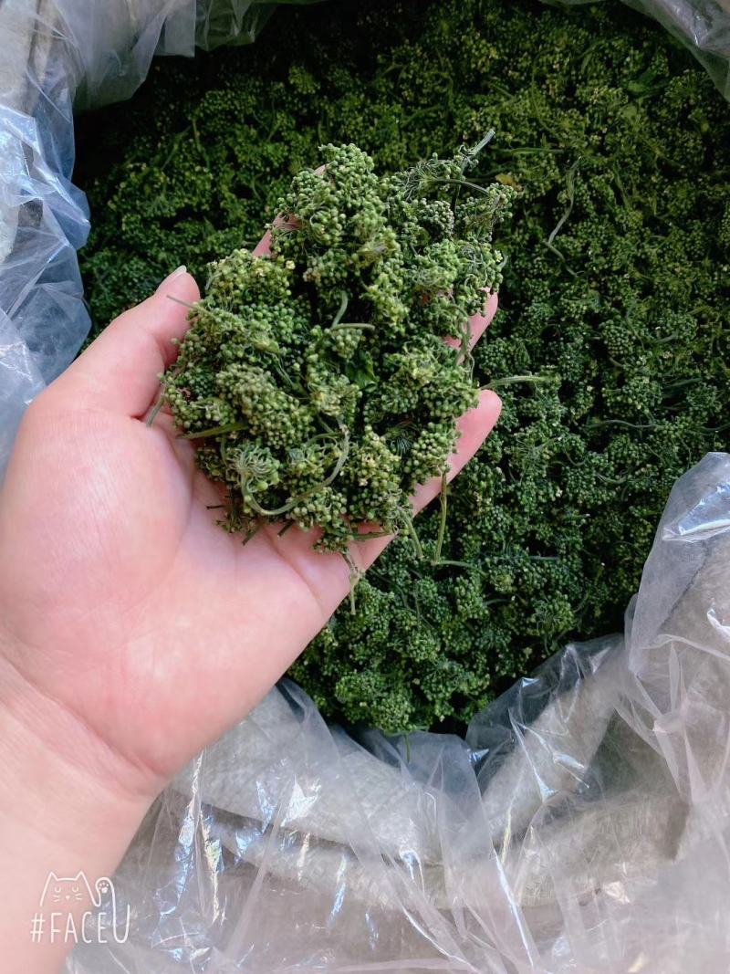 长白山人参花大量批发颜色质量好大中小规格价格实惠