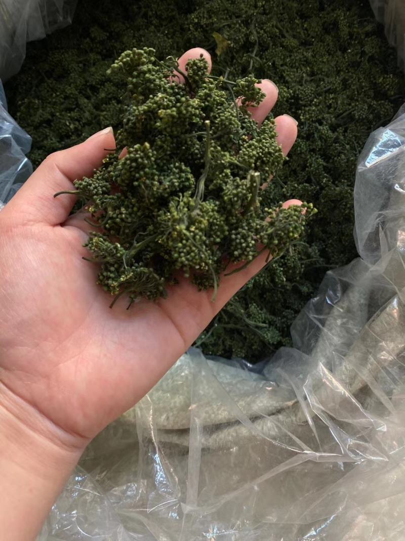 长白山人参花大量批发颜色质量好大中小规格价格实惠