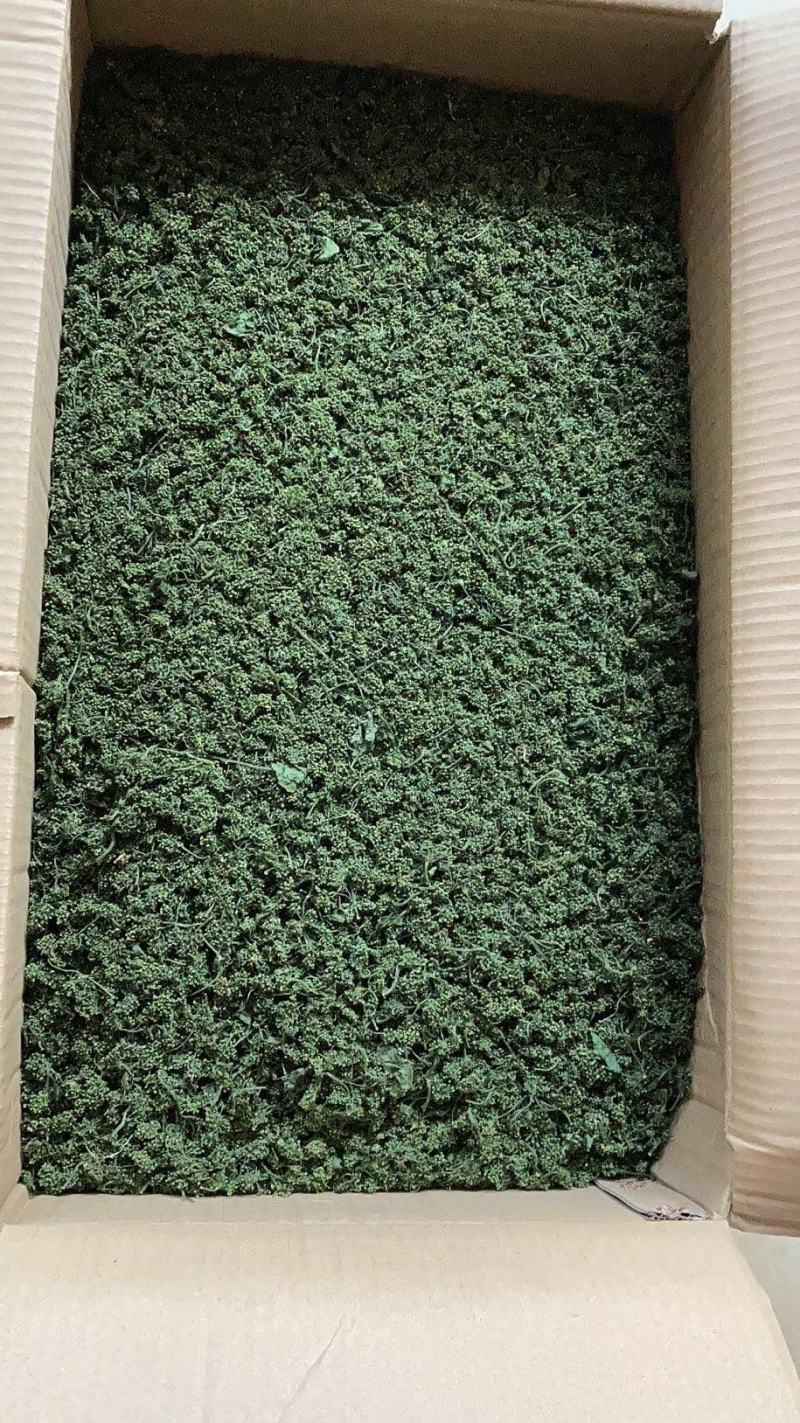 长白山人参花大量批发颜色质量好大中小规格价格实惠