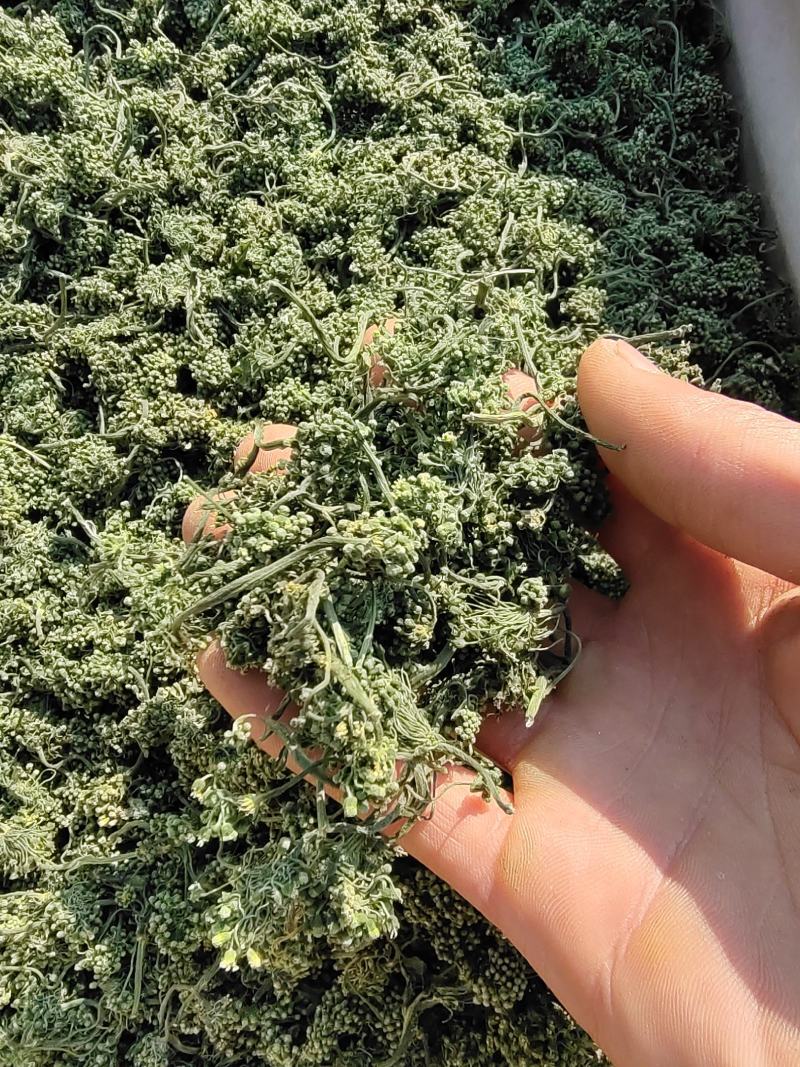 长白山人参花大量批发颜色质量好大中小规格价格实惠