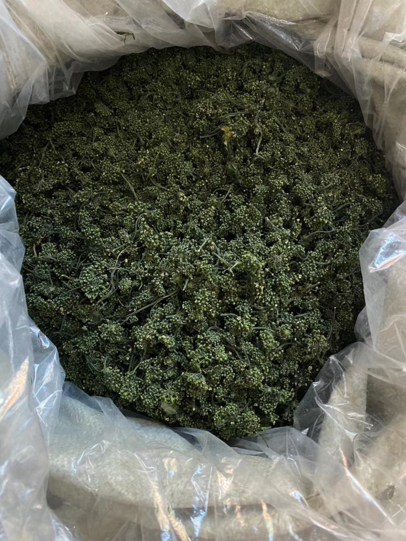 长白山人参花大量批发颜色质量好大中小规格价格实惠