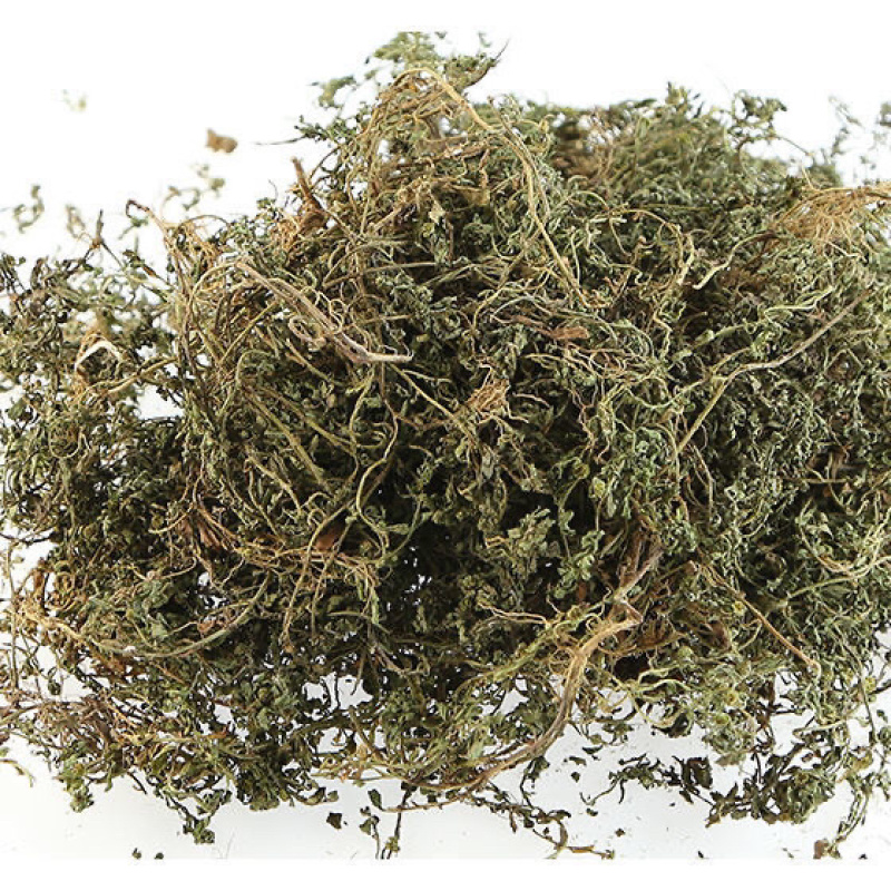 鹅不食草一手货源产地直销