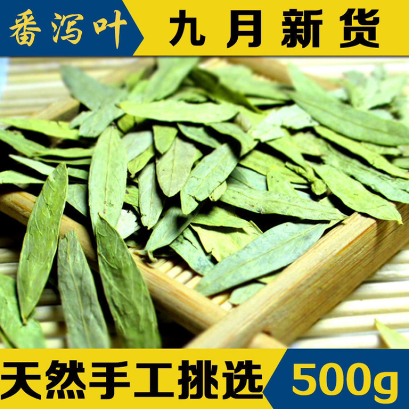 番泻叶一手货源产地直销