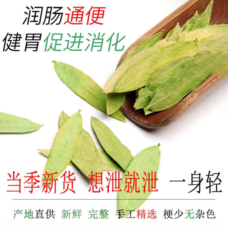 番泻叶一手货源产地直销