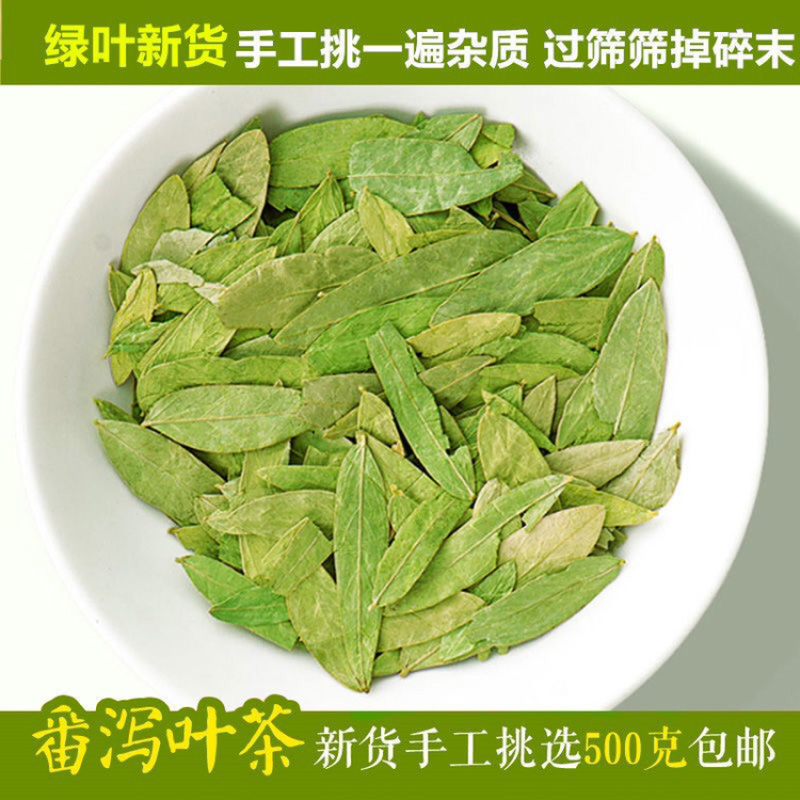 番泻叶一手货源产地直销