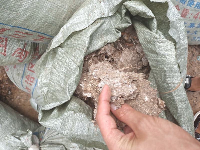 纯鸡粪，干货饼块果蔬，农产品必备肥料