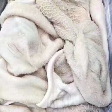 精品半成品牛肚，一首货源支持发样品。欢迎各界老板下单订购