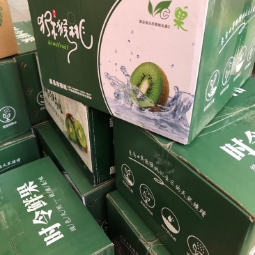 猕猴桃【奇异果】奇异果，大量上市！支持一件代