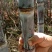 基地直发，精品黑皮甘蔗，口感好无渣，质量保障（种植大户）