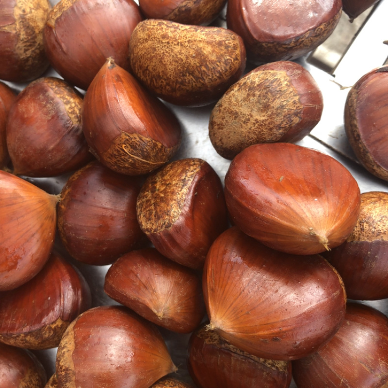 2021年新鲜板栗板栗批发