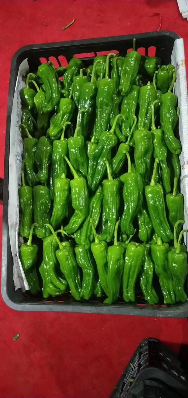 咪鲜胺杀菌剂柑橘炭疽病生姜炭疽病水稻稻瘟病辣椒炭疽病杀菌
