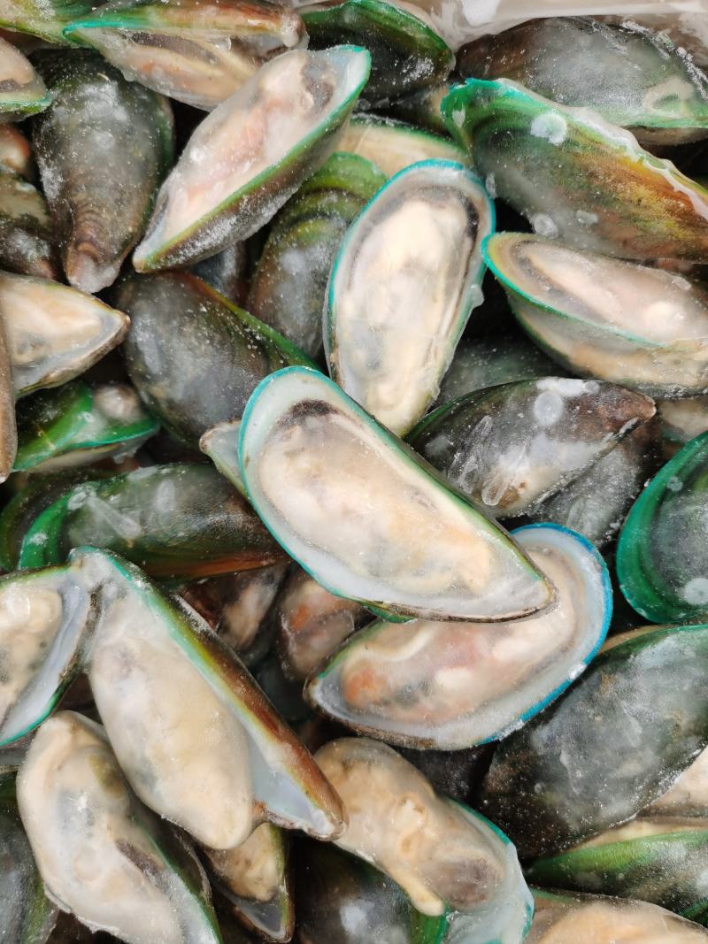 活冻青口贝贻贝青绿翡翠半壳冷冻海鲜淡菜无沙贝壳