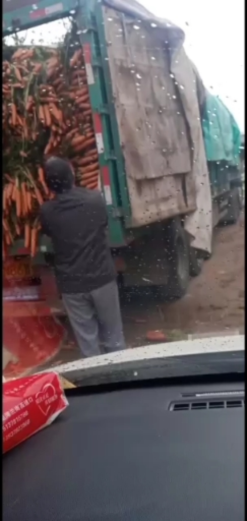 精品红萝卜大量有货品质高条形好市场走货快，以质量求生存