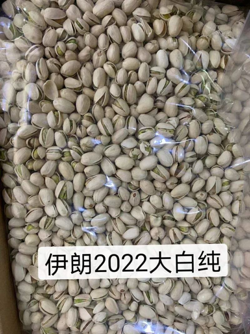 开心果，开心果，2020年新果