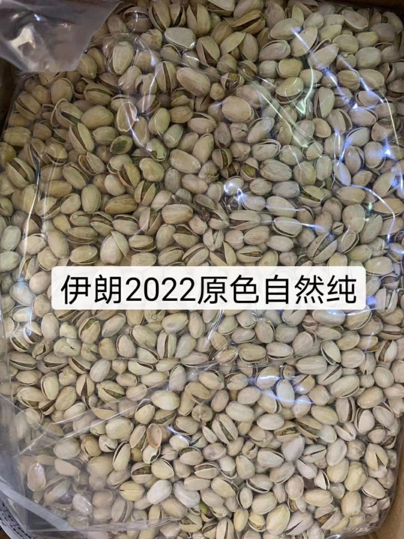 开心果，开心果，2020年新果