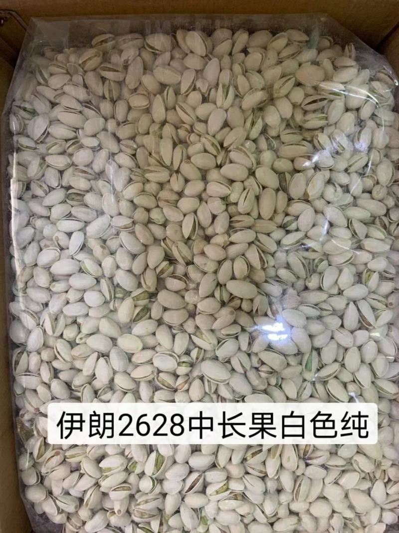 开心果，开心果，2020年新果