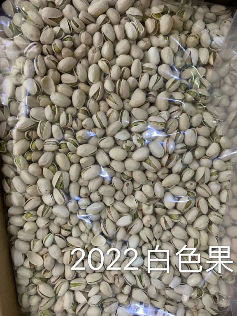 开心果，开心果，2020年新果