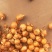 洋葱山东精品红皮黄皮洋葱【圆葱】大量供应