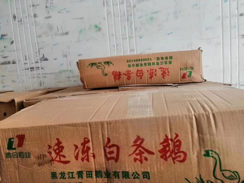 晶美老鹅，中鹅，信达老鹅，东北仔鹅，老鸭，白条鸭