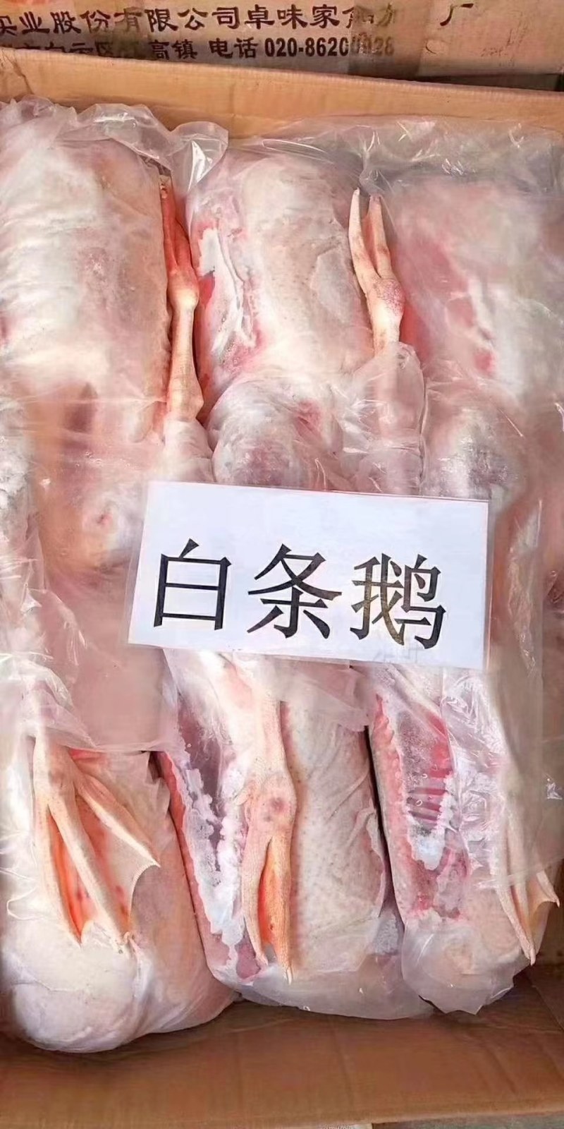 晶美老鹅，中鹅，信达老鹅，东北仔鹅，老鸭，白条鸭