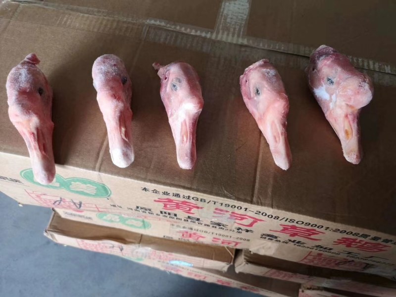 晶美老鹅，中鹅，信达老鹅，东北仔鹅，老鸭，白条鸭
