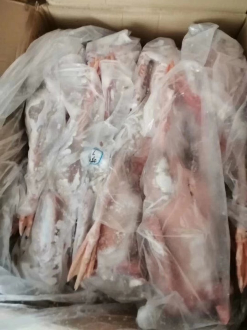 晶美老鹅，中鹅，信达老鹅，东北仔鹅，老鸭，白条鸭