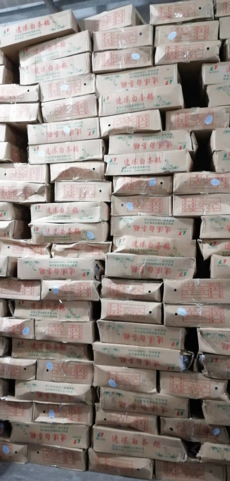 晶美老鹅，中鹅，信达老鹅，东北仔鹅，老鸭，白条鸭