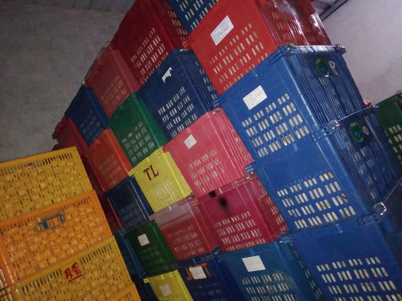 石林人参果，自然成熟的，品质好、货源充足