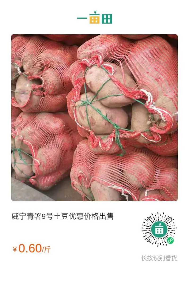 贵州威宁威宇5号贵州，范围之内送货3两以上通货全国包送