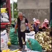 芋头江西香芋江西南丰荔浦槟榔芋产地直销量大价优