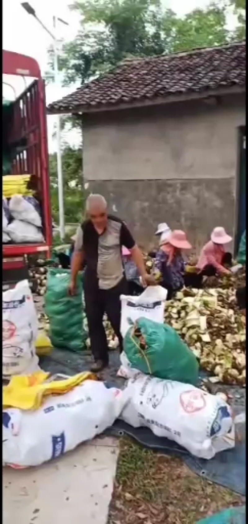 芋头江西香芋江西南丰荔浦槟榔芋产地直销量大价优