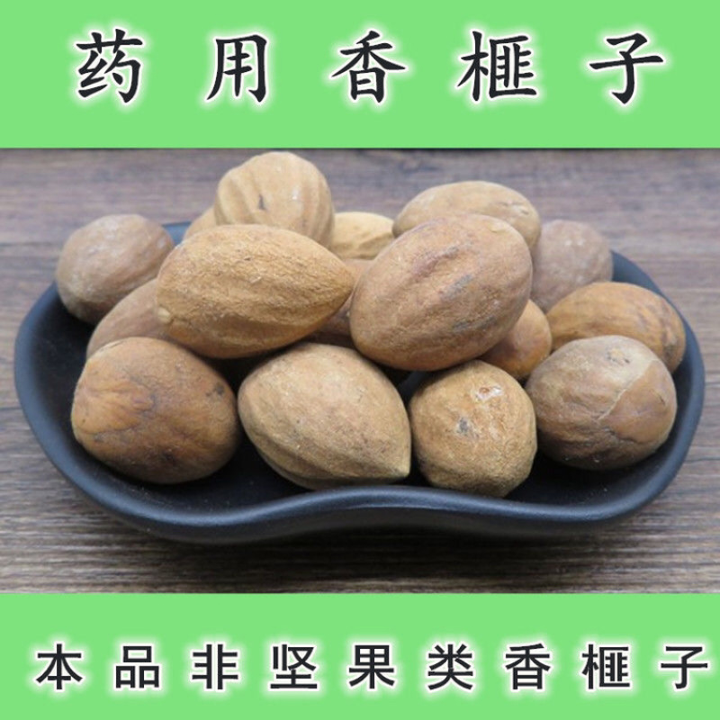 榧子一手货源产地直销