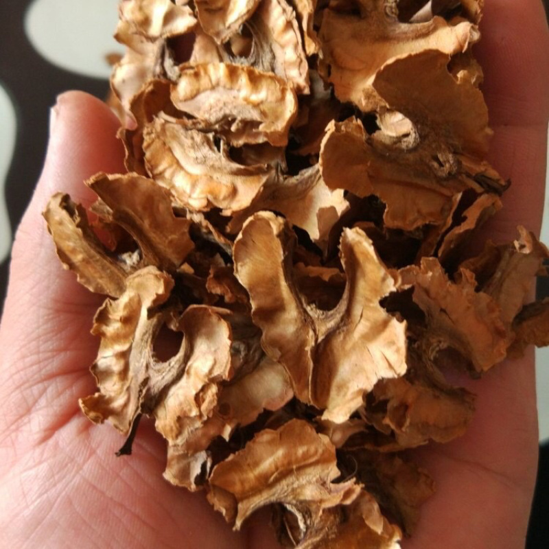 分心木一手货源产地直销