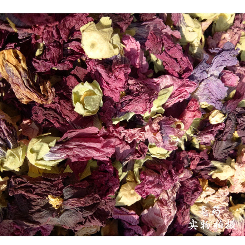 芙蓉花一手货源产地直销