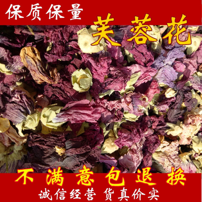 芙蓉花一手货源产地直销