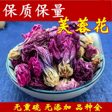 芙蓉花一手货源产地直销
