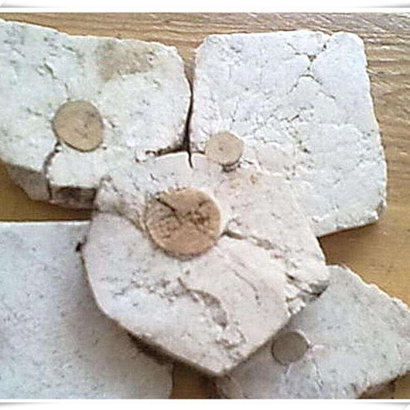 茯神一手货源产地直销