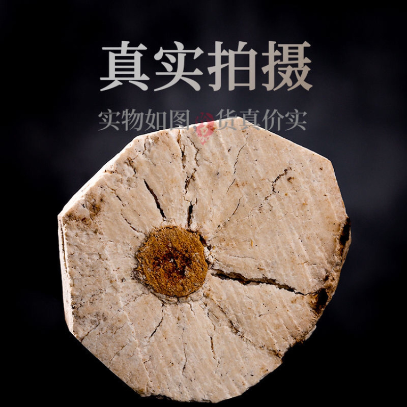茯神一手货源产地直销
