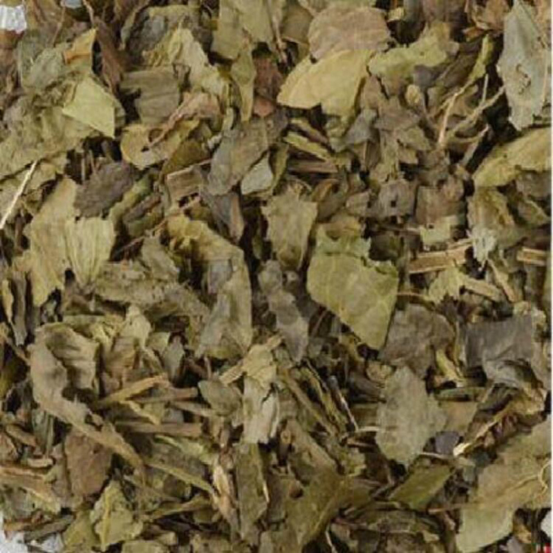 腹水草一手货源产地直销