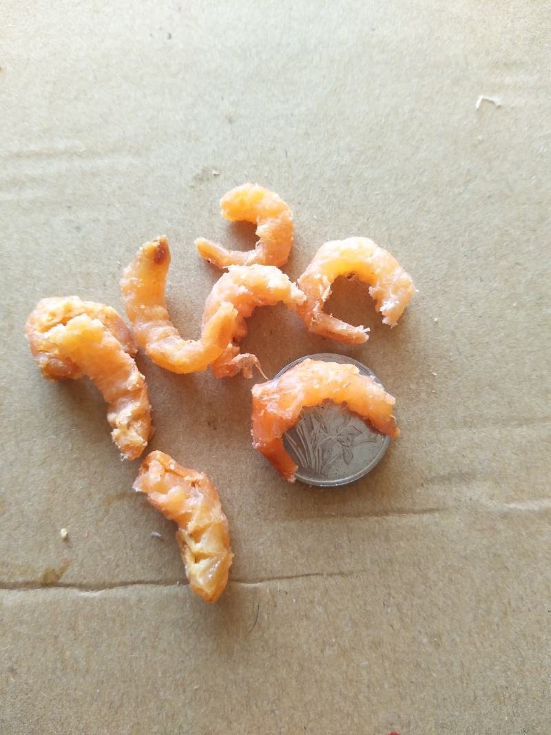水产自产自销海米批发，质量保证，要无盐的电议