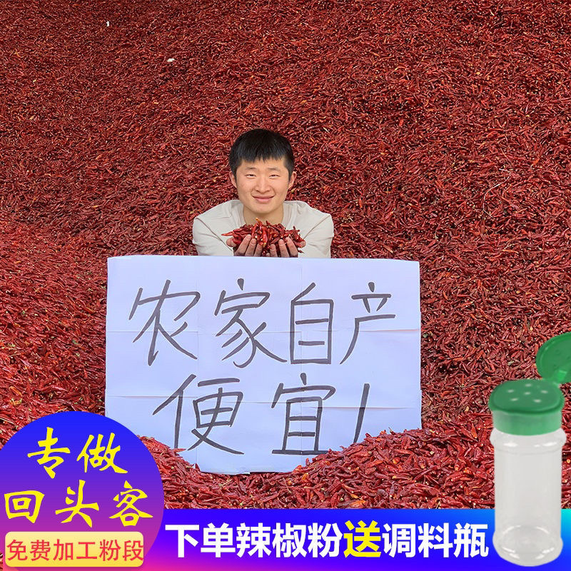 干辣椒朝天椒微辣辣椒厂家直发切断打粉量大优惠