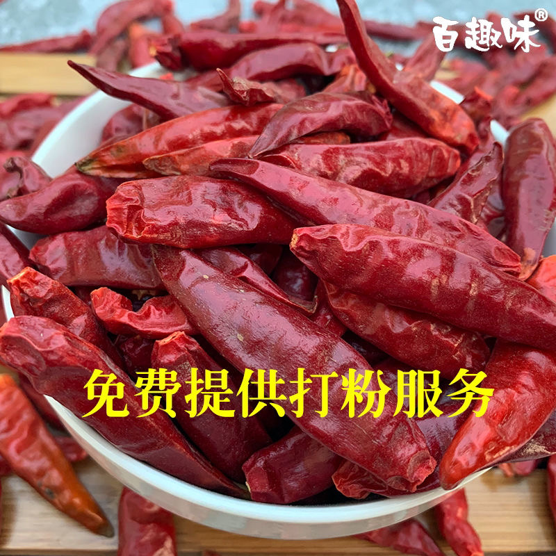 干辣椒朝天椒微辣辣椒厂家直发切断打粉量大优惠