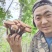 呼伦贝尔大兴安岭野生榛蘑