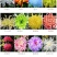 菊花盆栽国庆菊品种齐全，花色多，需要联系客服
