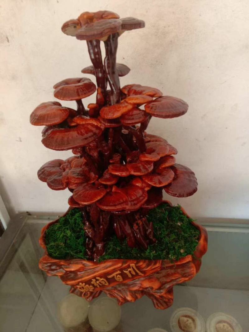大型工艺嫁接盆景，灵芝盆景