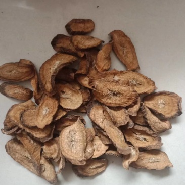 牛蒡牛蒡茶黄金牛蒡茶牛蒡茶特级