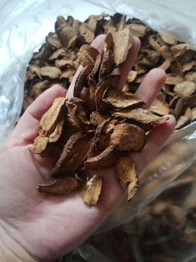 牛蒡牛蒡茶黄金牛蒡茶牛蒡茶特级