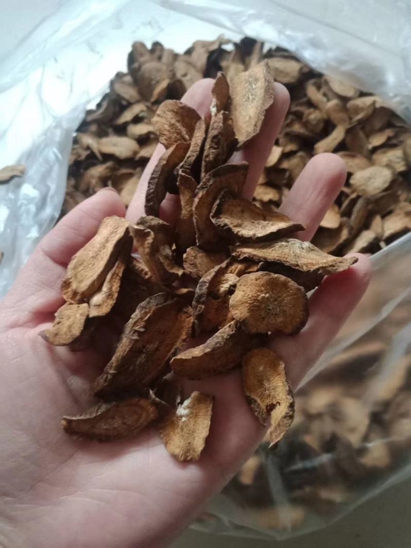 牛蒡牛蒡茶黄金牛蒡茶牛蒡茶特级